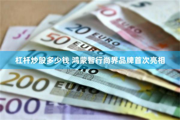 杠杆炒股多少钱 鸿蒙智行尚界品牌首次亮相