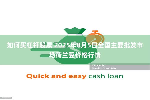 如何买杠杆股票 2025年8月5日全国主要批发市场荷兰豆价格行情