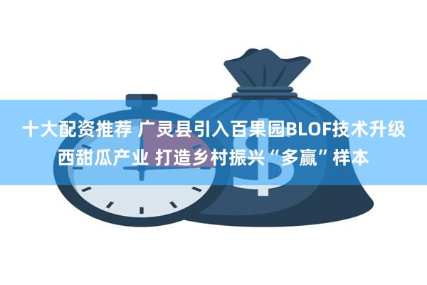 十大配资推荐 广灵县引入百果园BLOF技术升级西甜瓜产业 打造乡村振兴“多赢”样本